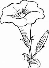 Bunga Kartun Putih Mewarnai sketch template