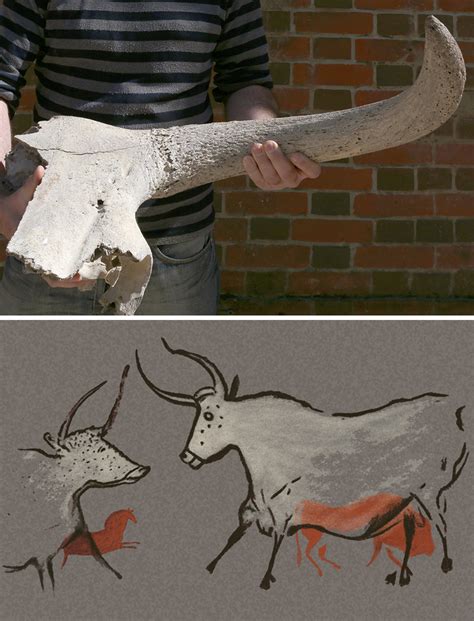 auroch wessex archaeology
