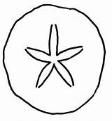 Sand Dollar Clipart Clip Outline Coloring Cliparts Drawings Designs Wikiclipart Clipartbest Library Computer Use sketch template