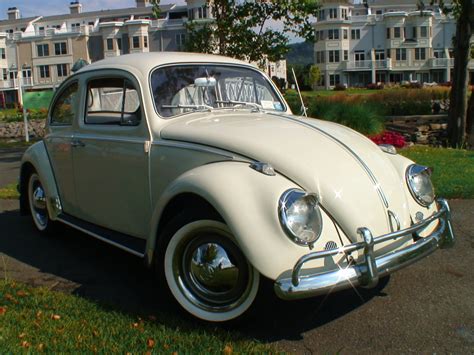 classic  vw beetle bug sedan classic vw beetles bugs