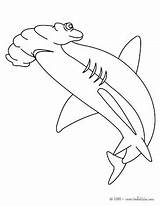 Megalodon Coloring Pages Getcolorings Shark sketch template