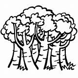 Dibujos Matorrales Bosques Cuentos Cortos Arbusto Recuperacion Jornadas Usal Guiainfantil sketch template
