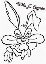 Looney Tunes Coloring Pages Coyote sketch template