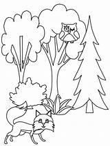 Coloring Pages Trees Fall Book Tree Forest Print Printable Pine Color Kids Coloringpagebook Para Tree8 Colorir Da Popular Easily Coloringhome sketch template