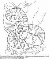 Rattlesnake Sheets Doverpublications Wetlands Coloringhome Dover sketch template