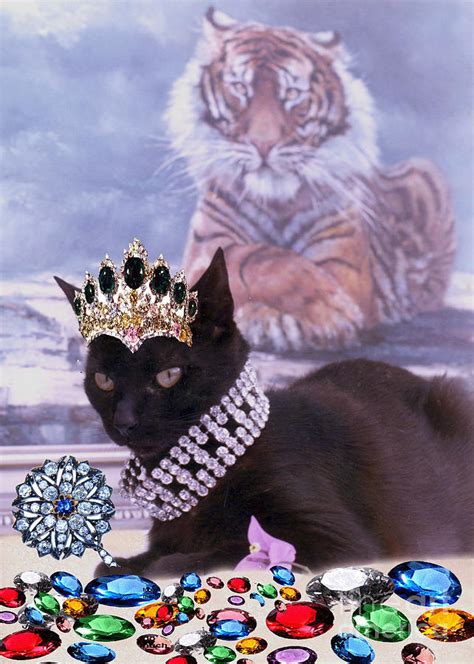 Fifi Diamonds Are A Kitten Best Friends Photograph By Silvia Duran