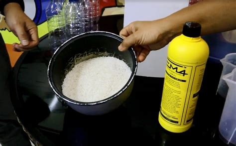 gerakan fermentasi air cucian beras em  pupuk pak oles