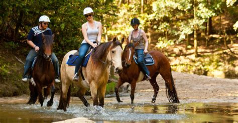 sydneys  horse riding horse riding riding lessons trail rides pony rides glenworth