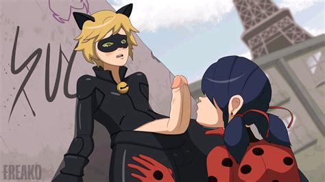 image 1912639 cat noir freako ladybug marinette cheng miraculous ladybug animated