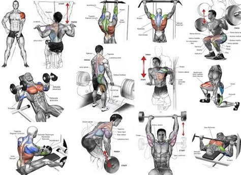 gym workout steps image hd google search muscle building workouts