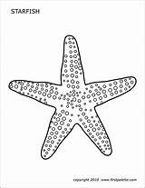 Starfish Template Printable Drawing Coloring Pages Templates Octopus Firstpalette Paintingvalley sketch template