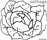 Cabbage Pages Coloring Colorings sketch template
