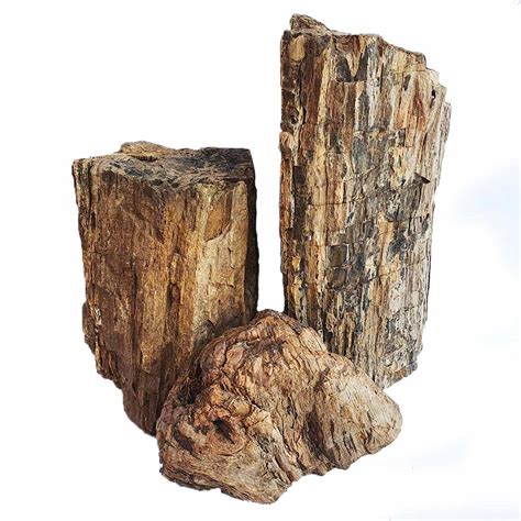 petrified wood stone mcmerwe  shop south africa