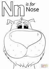 Nose Coloring Letter Pages Supercoloring Nest Printable Preschool Colouring Alphabet Sheet Super Worksheets Kids Sheets Activities sketch template