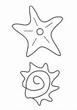 Shell Starfish Coloring Pages Color Print Sea Hellokids sketch template