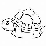 Turtle Tortue Tortoise Kura Enfants Tortues Hitam Putih Sindunesia Coloriages Justcolor Coloringbay Untuk Joli Mewarnai Cangkang Tigre sketch template