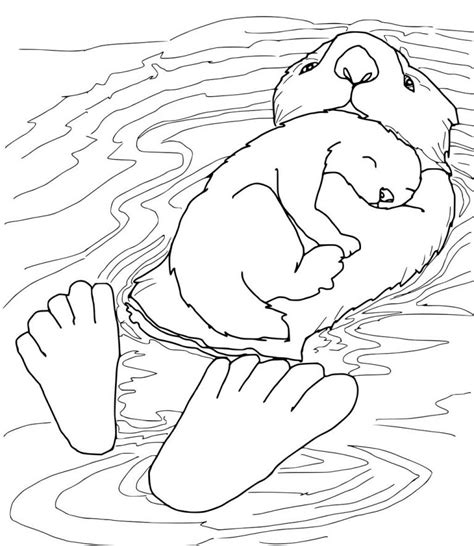 otter coloring pages  coloring pages  kids