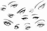 Eyes Drawing Female Eye Lashes Vectors Eyelashes Anime Vector Long Illustration Reference Choose Board Set Drawings Cartoon Color sketch template