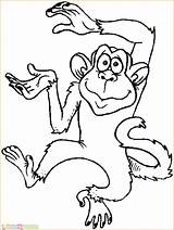 Monyet Mewarnai Mewarna Marimewarnai Paud Tk Beruk Monos обезьяна Alces Rodajas Quema Capuchino sketch template