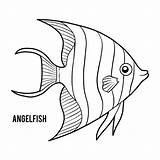 Angelfish Coloring Emperor Clip Book Fish Angel Illustrations Vector Preview sketch template