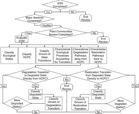flow diagram showing  systematic process    review