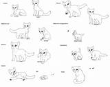 Coloring Warrior Cats Cat Pages Anime Kits Print Star Ages Warriors Colorine Library Coloringhome Popular sketch template