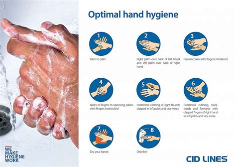 hoe je handen wassen cid lines