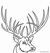 Hirsch Ausmalbilder Malvorlagen Hirschgeweih Cool2bkids Antler Ausdrucken sketch template