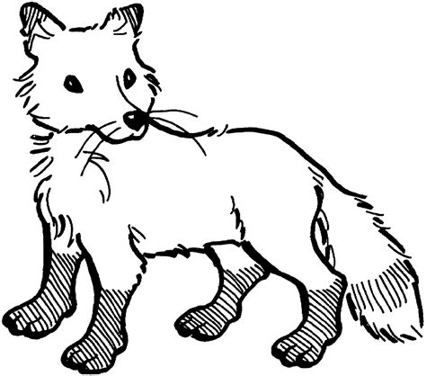 fox coloring pages  lets coloring  world
