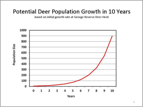 population dynamics of deer deer ecology and management lab