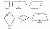 Angles Consecutive Two Quadrilateral Shapes Square Rectangle Has Measure Question sketch template