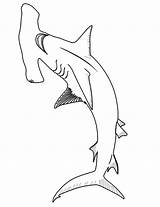 Shark Hammerhead Coloring Pages Color Template Printable Print Clipart Kids Sharks Drawing Great Sheets Clip sketch template