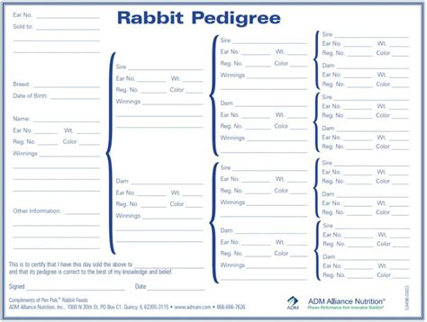 rabbit pedigree chart tool  making pedigrees