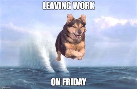 50 Top Leaving Work On Friday Meme Joking Images Quotesbae