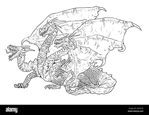 pagina da colorare  drago  tre teste illustrazione del contorno