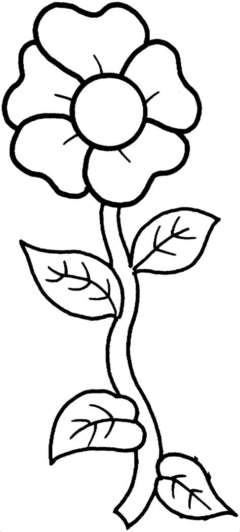 coloring flowers collection flower coloring pages