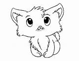 Coloring Kitten Cute Pages Coloringcrew Print sketch template