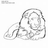 Lion Male African Coloring Drawing Pages Color Index Kids Getdrawings Own sketch template