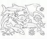 Sea Coloring Pages Realistic Life Printable Animals Getcolorings Ocean Color Terrific sketch template