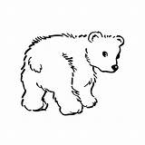 Coloring Pages Animal Bear Sheets Color Polar Animals Clipart Tombstone Baby Farm Printable Cute Cliparts Colouring Bears Book Resources Print sketch template