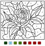 Number Color Coloring Pages Numbers Printable Beautiful Flowers Wonder sketch template