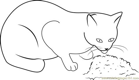 cat eating food coloring page  kids  cat printable coloring