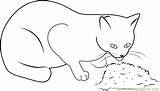 Cat Coloring Food Eating Pages Coloringpages101 Cats sketch template