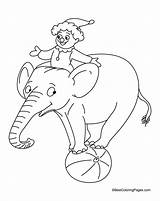 Elephant Balancing Ball Coloring sketch template