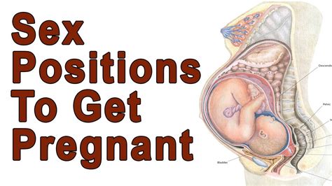 Do You Know How To Get Pregnant Fast Positions Get