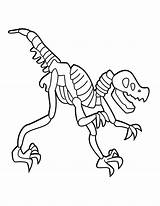Coloring Pages Fossils Dinosaur Bones Popular Baby sketch template