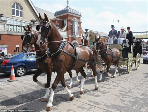 hold onto those hats drunken racegoers feel the effects