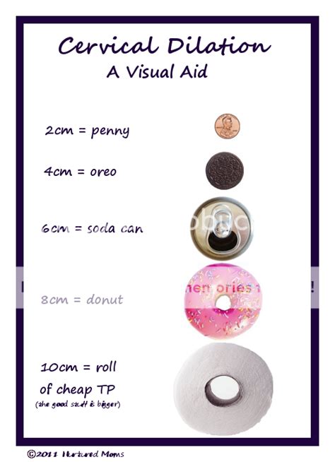 cervical dilation chart page  babycenter