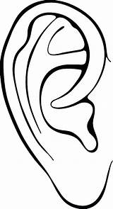 Coloring Getdrawings Ears Elf Ear sketch template