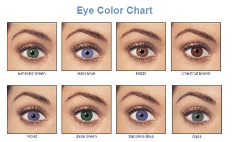 eye color chart  lemontrash  deviantart eye color chart eyes